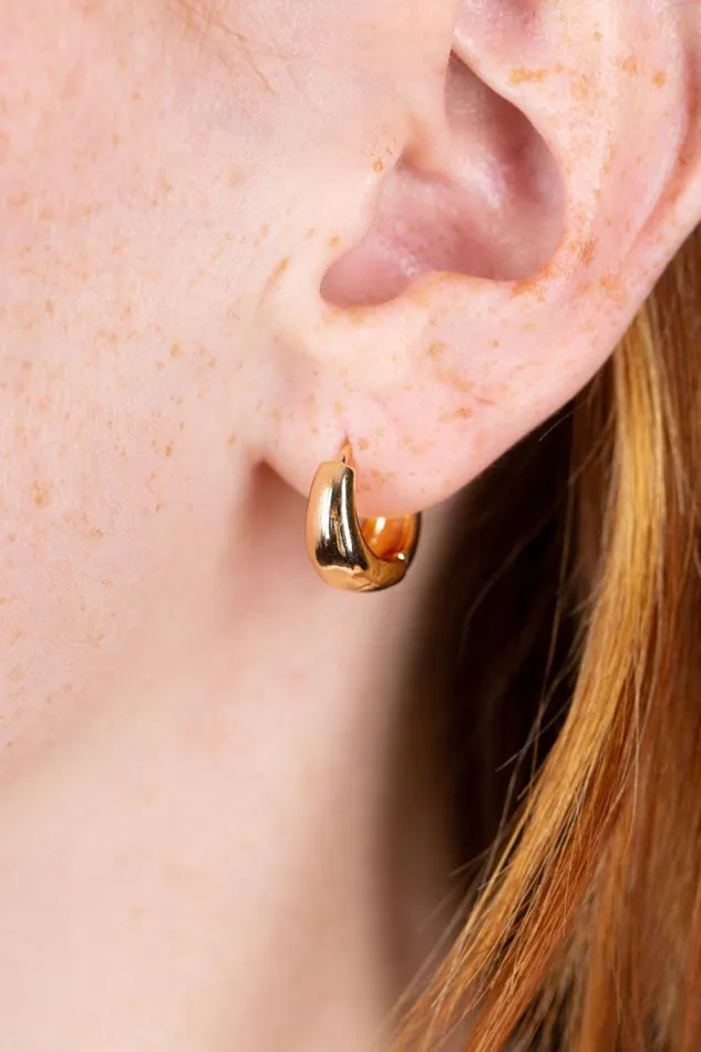 Accessories Mini Thick Hoop Earrings Brandy Melville JEWELRY