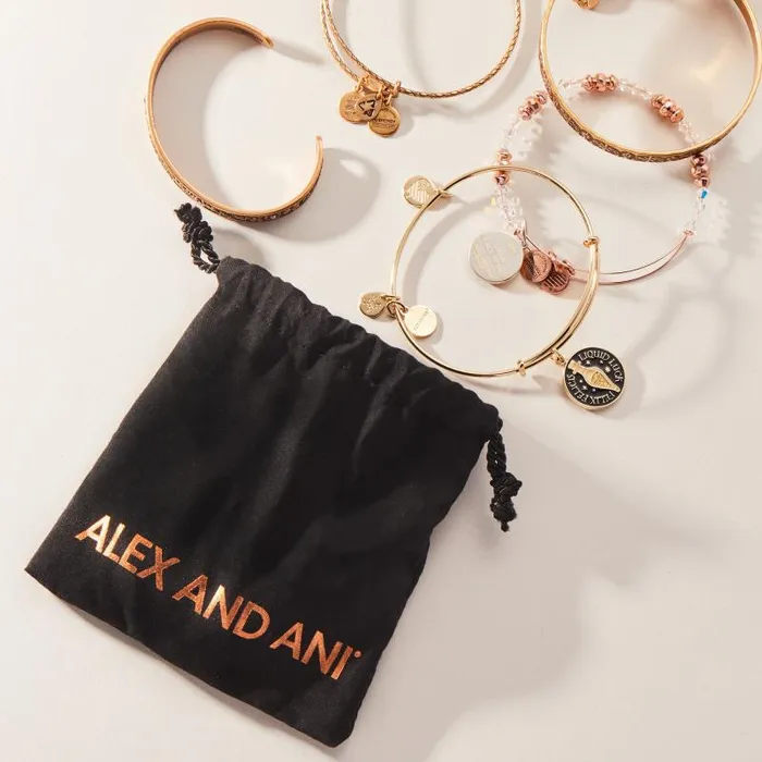 Accessories Women Alex And Ani Trend Jewelry Mystery Bag