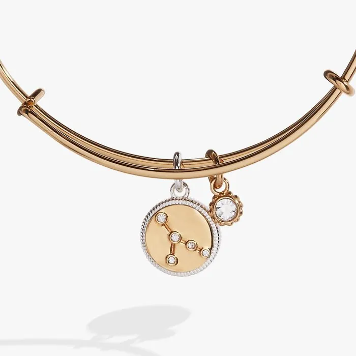 Bracelets Women Alex And Ani Cancer Zodiac Charm Bangle Two Tone
