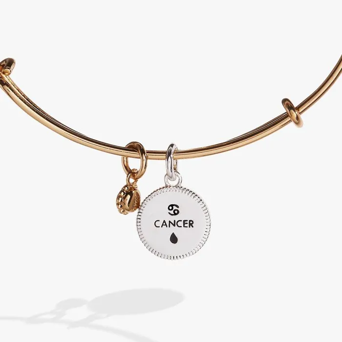 Bracelets Women Alex And Ani Cancer Zodiac Charm Bangle Two Tone