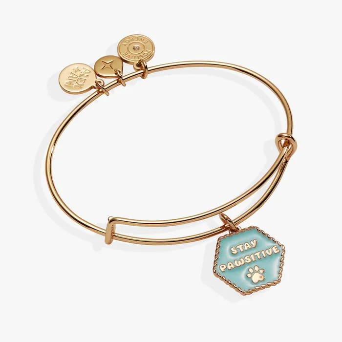Bracelets Women Alex And Ani Dog 039Stay Pawsitive039 Bangle Gold