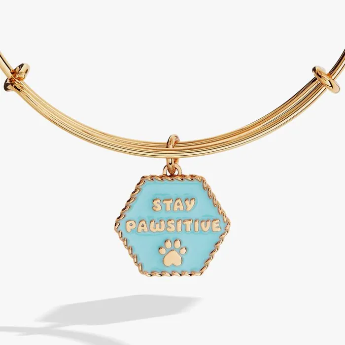 Bracelets Women Alex And Ani Dog 039Stay Pawsitive039 Bangle Gold