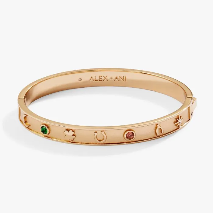 Bracelets Women Alex And Ani Lucky Hinge Bangle Gold