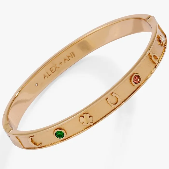 Bracelets Women Alex And Ani Lucky Hinge Bangle Gold