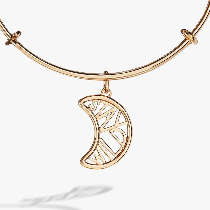 Bracelets Women Alex And Ani Stay Wild Charm Bangle Gold