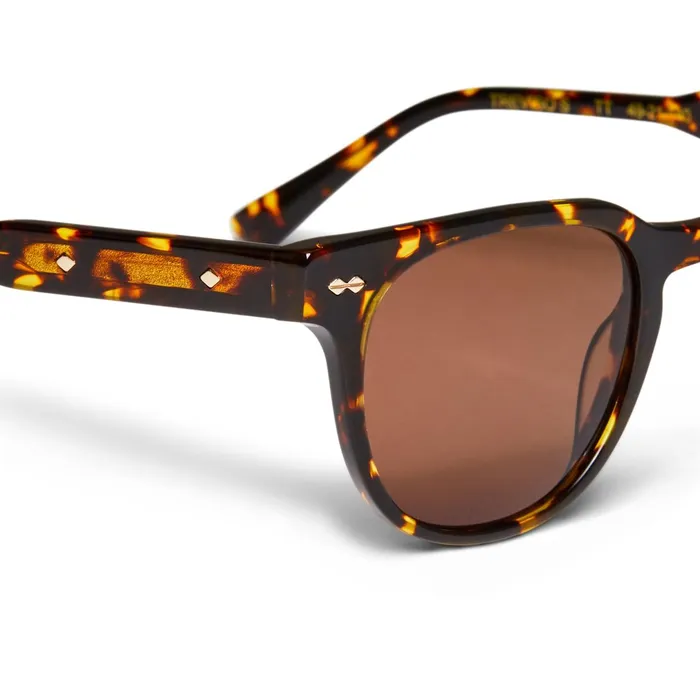 Bruno Magli Treviso Sunglasses Tortoise Men Sunglasses