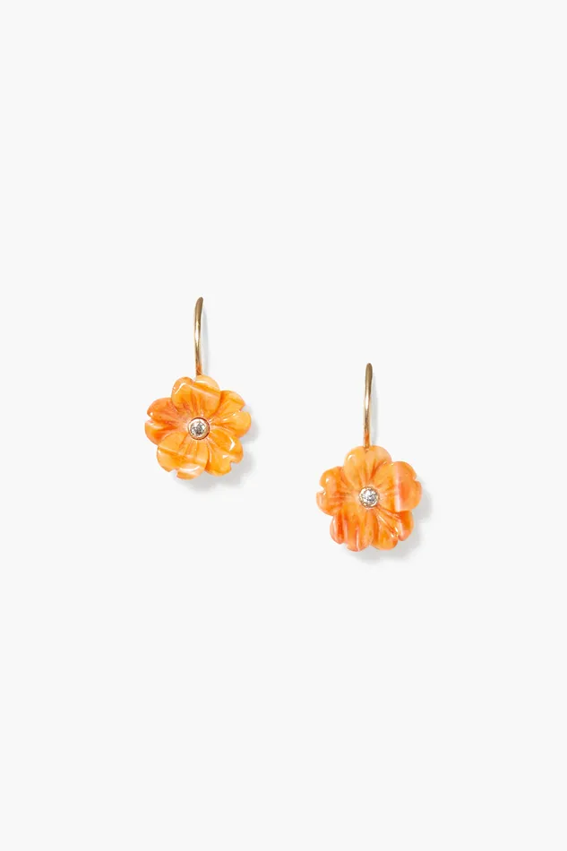 Chan Luu Earrings 14k Poppy Earrings Lion039s Paw 8211 Women