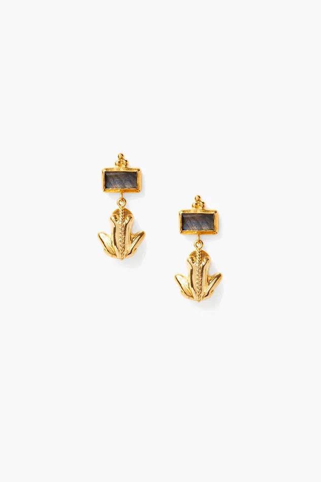 Chan Luu Earrings Coqui Frog Earrings Labradorite 8211 Women