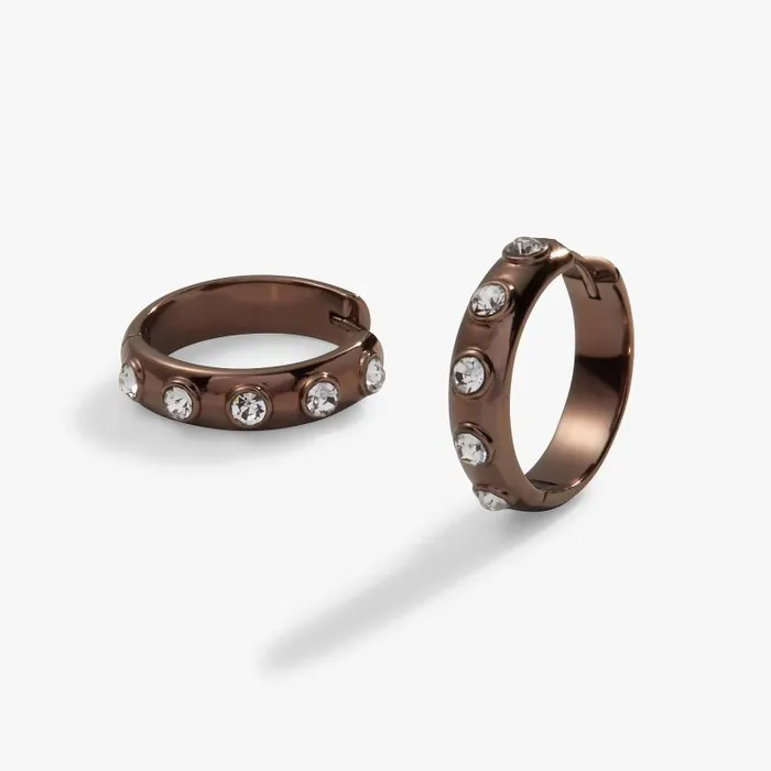 Earrings Women Alex And Ani Crystal Bezel Hoop Earrings Chocolate