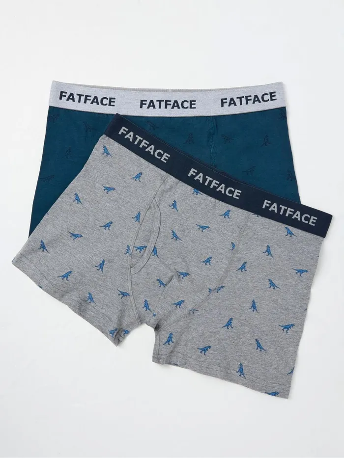 Fat Face Underwear Grey Dinosaur Boxers 2 Pack 8211 Men