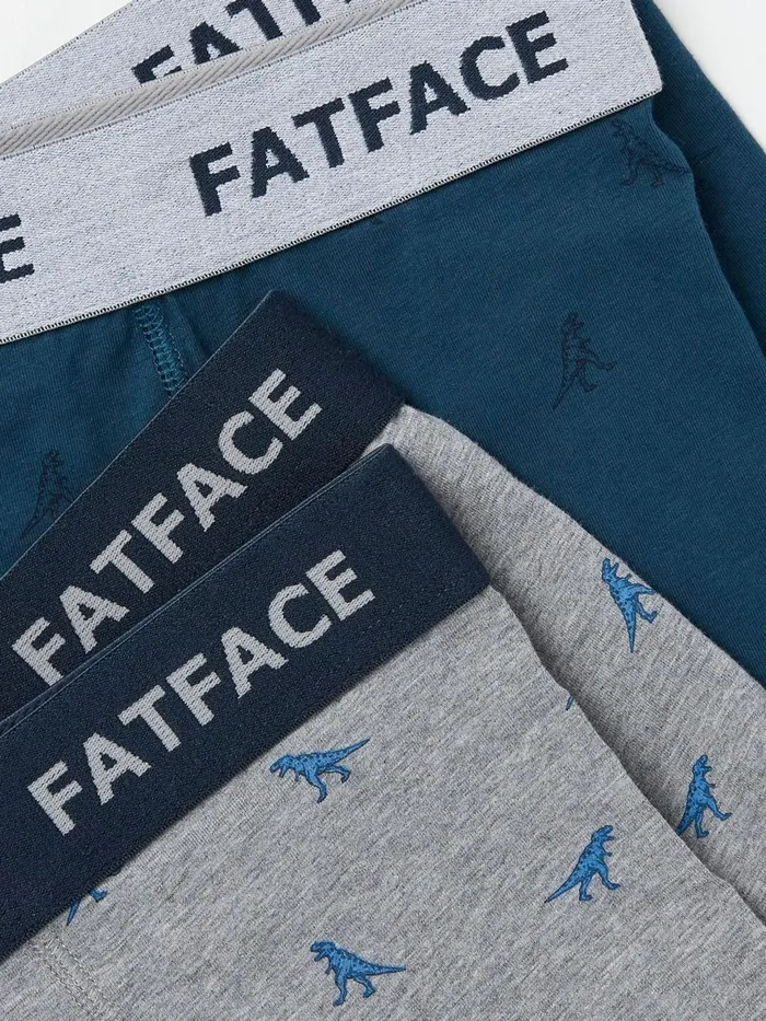 Fat Face Underwear Grey Dinosaur Boxers 2 Pack 8211 Men