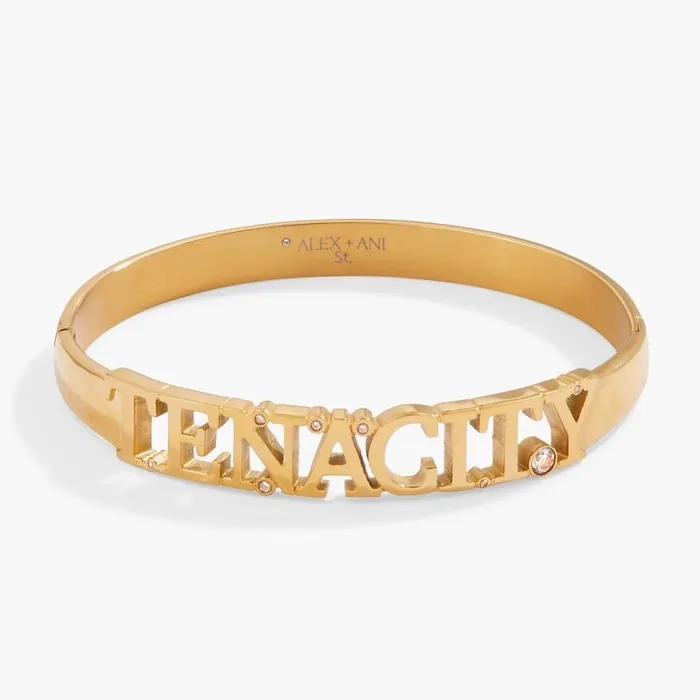Fine Jewelry Women Alex And Ani Tenacity Hinge Bracelet Stainless Steel Gold