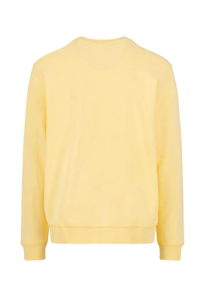 FYNCHHATTON Cotton Sweater With A Round Neckline Pale Yellowpeesummer Breezestrong Bluenavyturf Greennew Offwhitemedium Gray Men Sweater