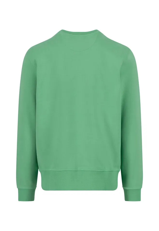 FYNCHHATTON Cotton Sweater With A Round Neckline Pale Yellowpeesummer Breezestrong Bluenavyturf Greennew Offwhitemedium Gray Men Sweater