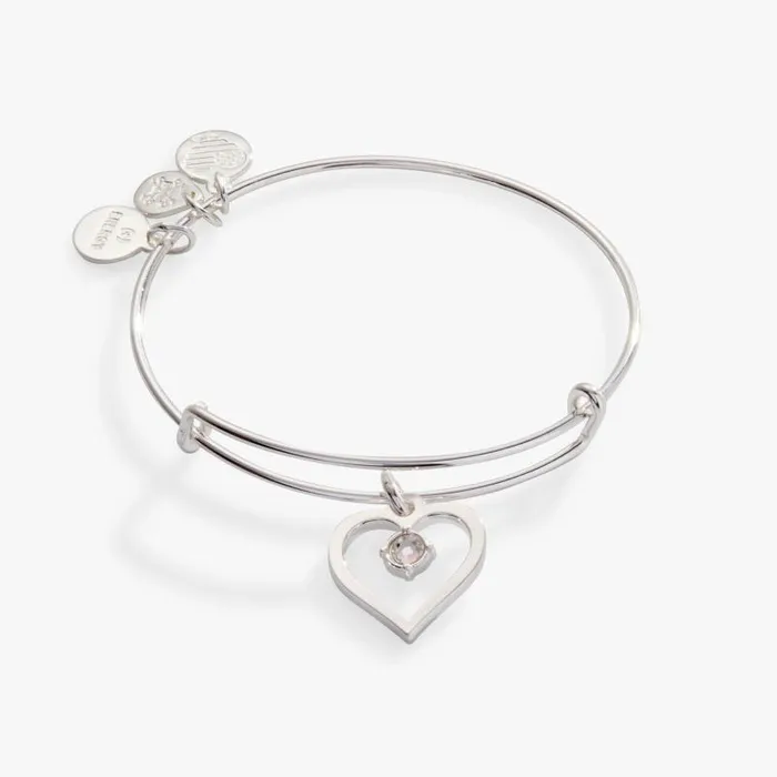 Iconic Women Alex And Ani Crystal In Heart Charm Bangle Bracelet Silver