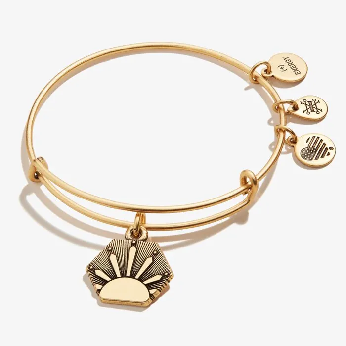 Iconic Women Alex And Ani Sun Charm Bangle Bracelet Rafaelian Silver