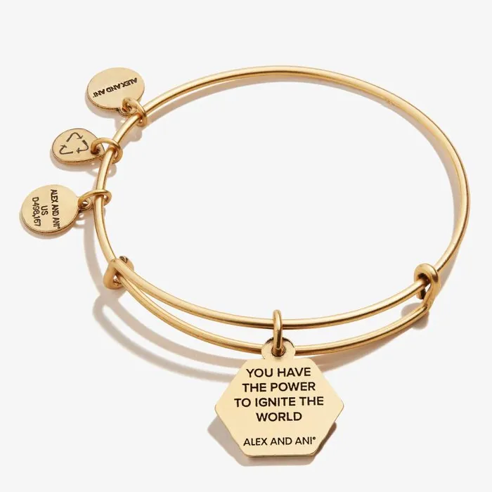 Iconic Women Alex And Ani Sun Charm Bangle Bracelet Rafaelian Silver