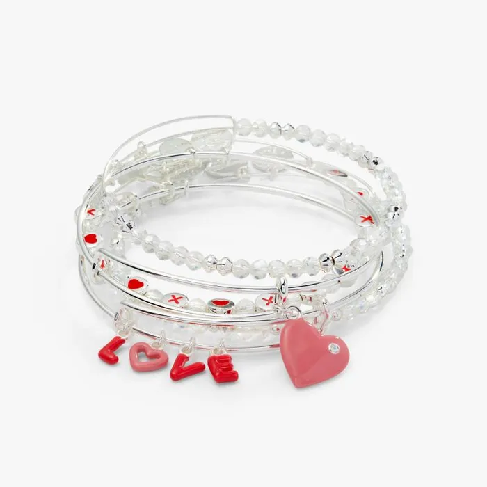 Jewelry Sets Women Alex And Ani Love039 Charm Bangle Set Of 5 Silver