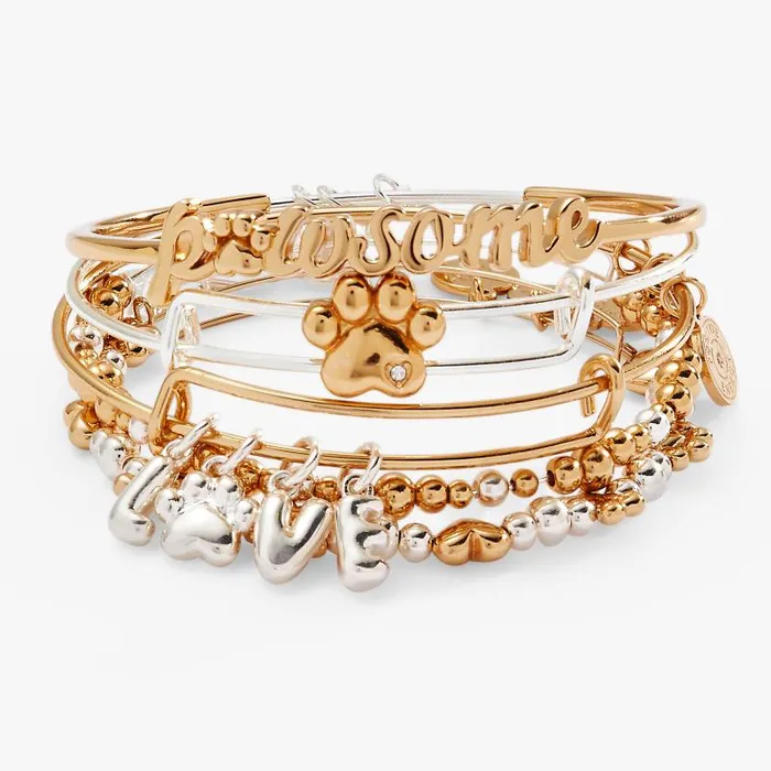 Jewelry Sets Women Alex And Ani Puppy Love Bangles Set Of 5 Two Tone