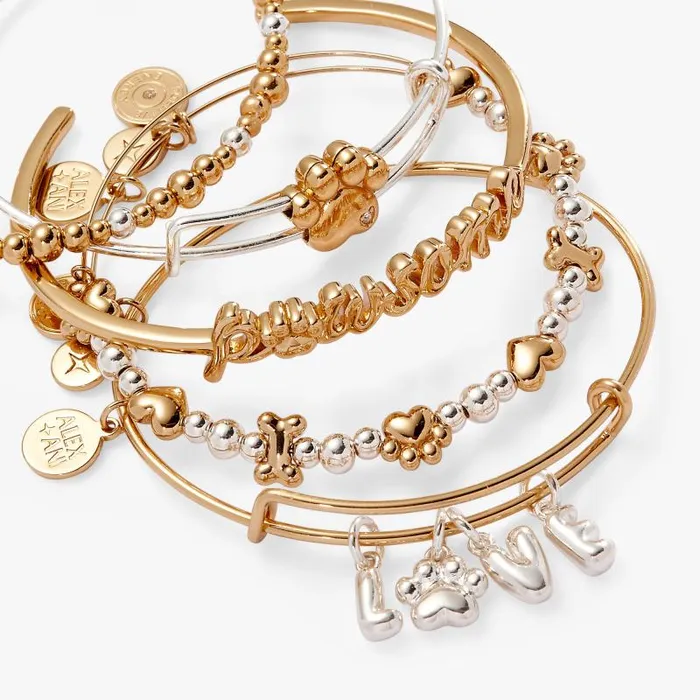 Jewelry Sets Women Alex And Ani Puppy Love Bangles Set Of 5 Two Tone