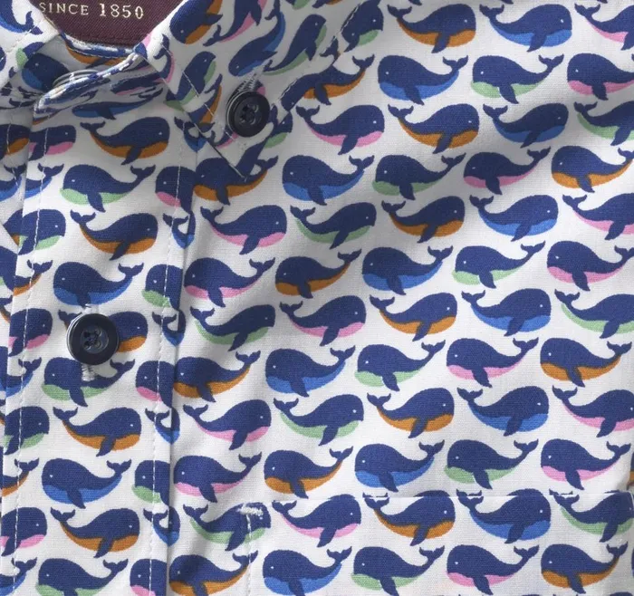 Johnston and Murphy Boys ShortSleeve Printed Shirt White Multi Whale Boys Shirts Johnston and Murphy Boys ShortSleeve Printed Shirt White Multi Whale Boys Shirts