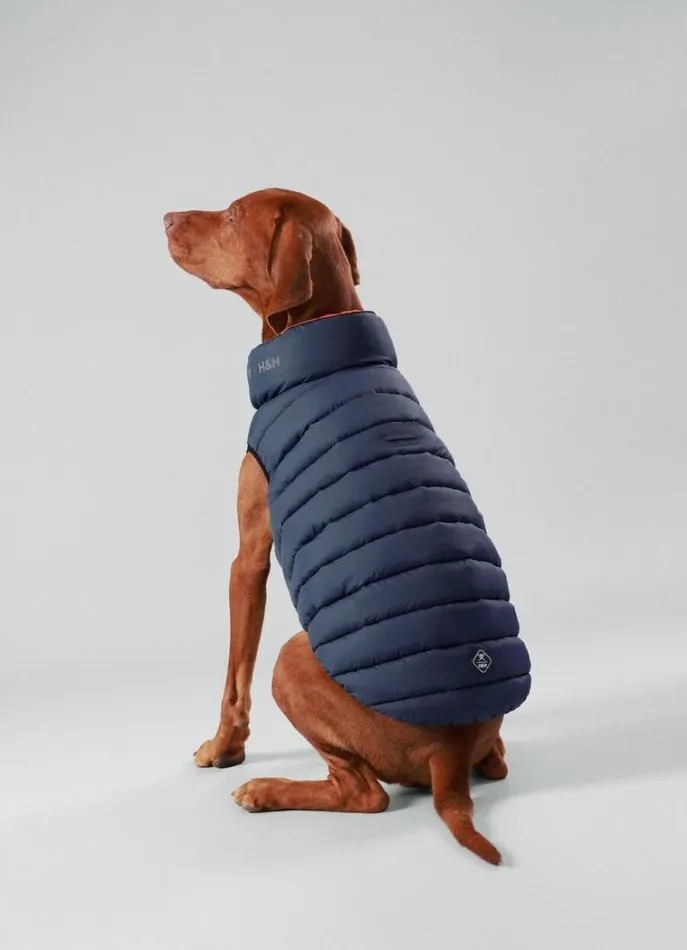 Men Hackett X Hugo and Hudson Hackett London Reversible Puffer Jacket For Dogs 8211 Large Winenavy