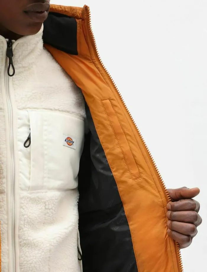 Men Jackets Dickies Waldenburg Jacket Pumpk Spice