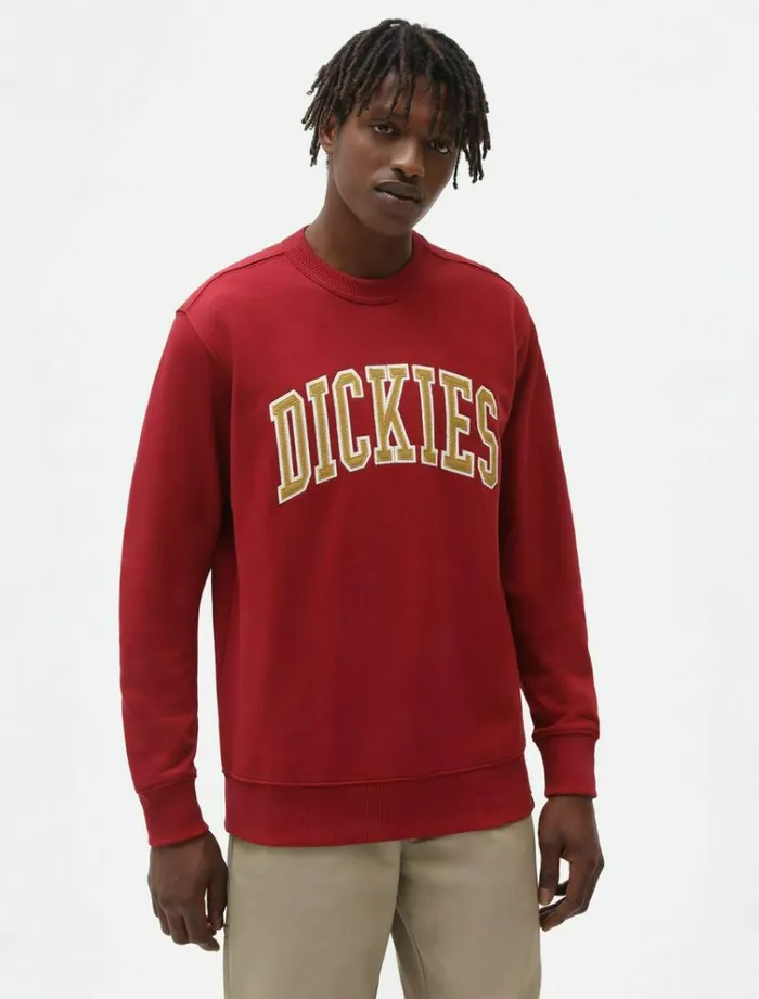 Men Jumpers and Sweatshirts Dickies Aitkin Swearshirt Bikg Red