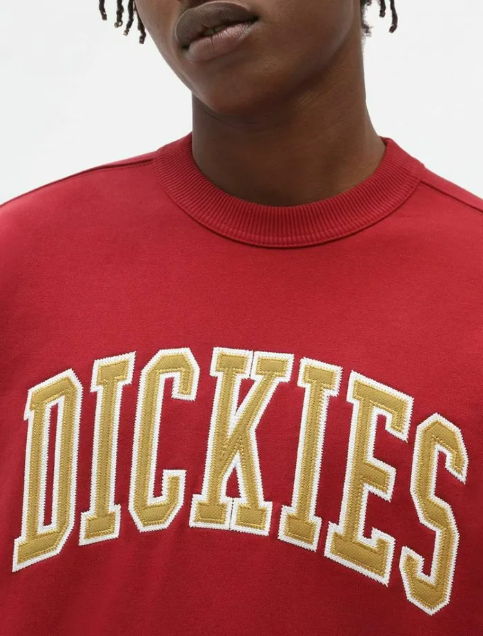 Men Jumpers and Sweatshirts Dickies Aitkin Swearshirt Bikg Red