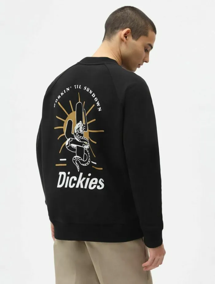 Men Jumpers and Sweatshirts Dickies Bettles Sweatshirt Black