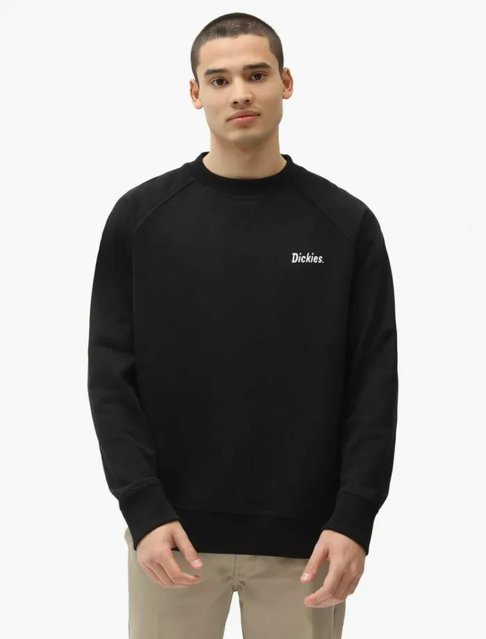 Men Jumpers and Sweatshirts Dickies Bettles Sweatshirt Black