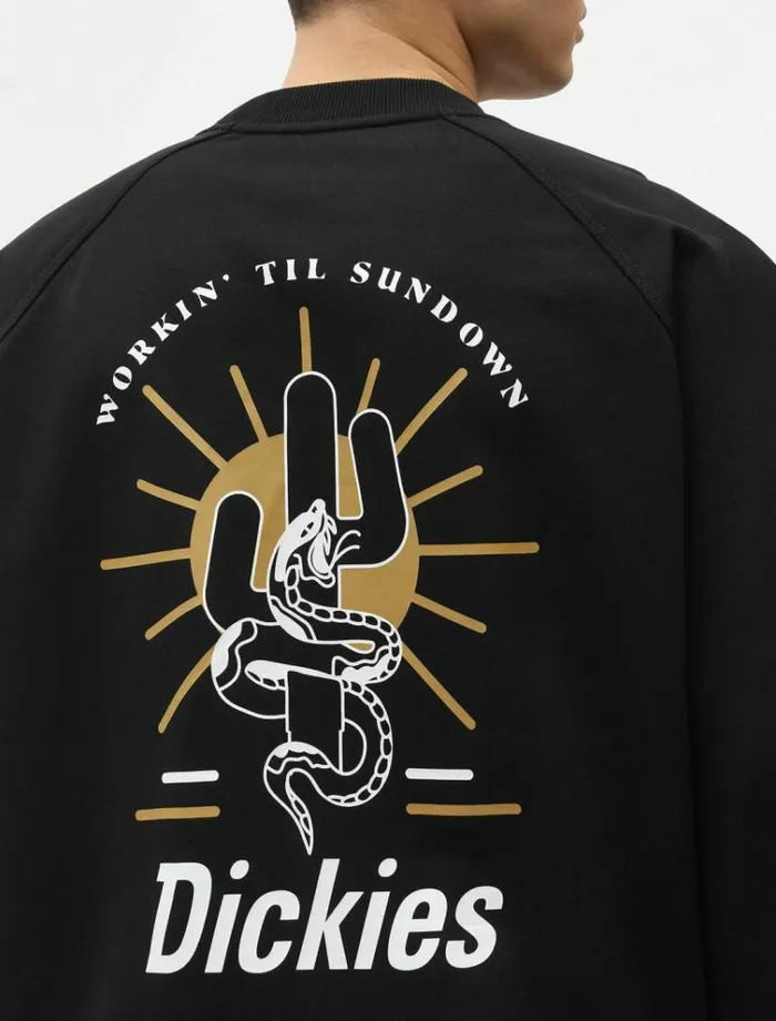 Men Jumpers and Sweatshirts Dickies Bettles Sweatshirt Black
