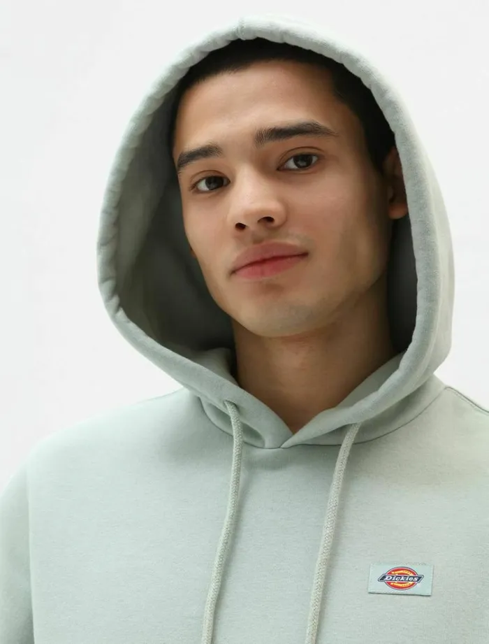 Men Jumpers and Sweatshirts Dickies Oakport Hoodie Jadeite