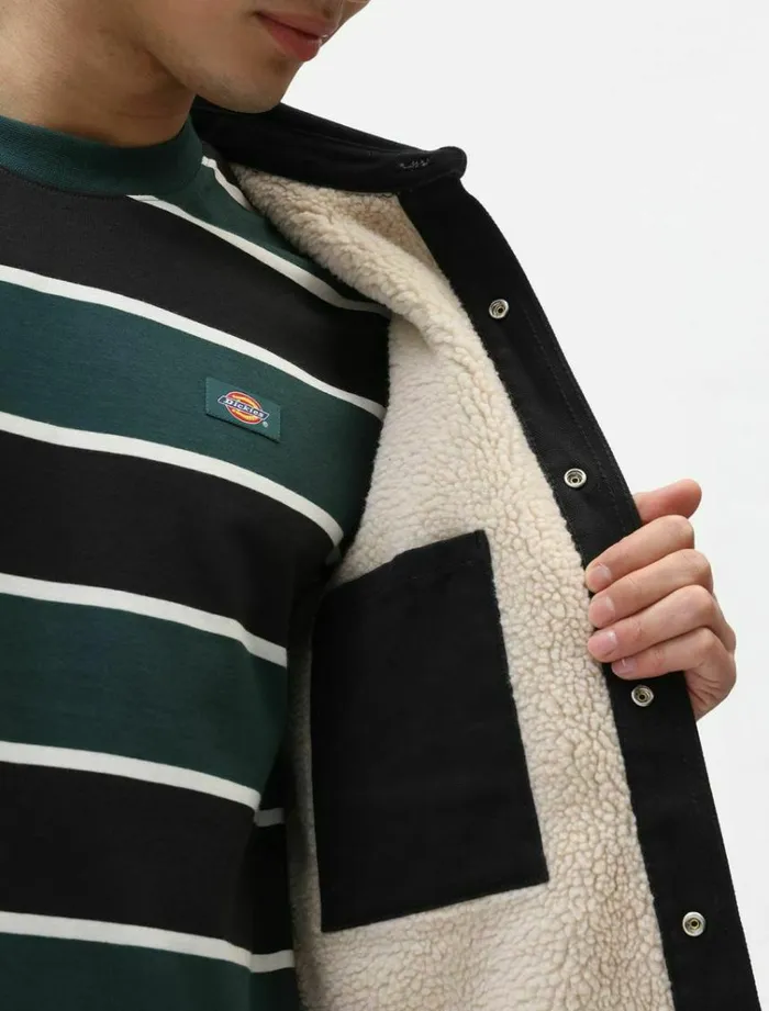 Men Shirts Dickies Duck Canvas Shacket Black