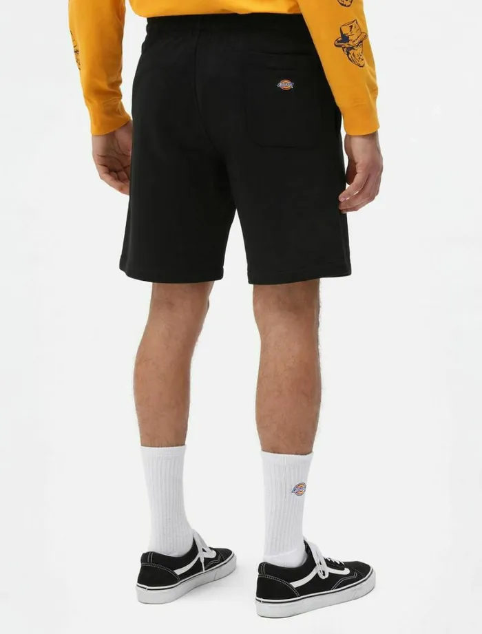 Men Shorts Dickies Champlin Short Black