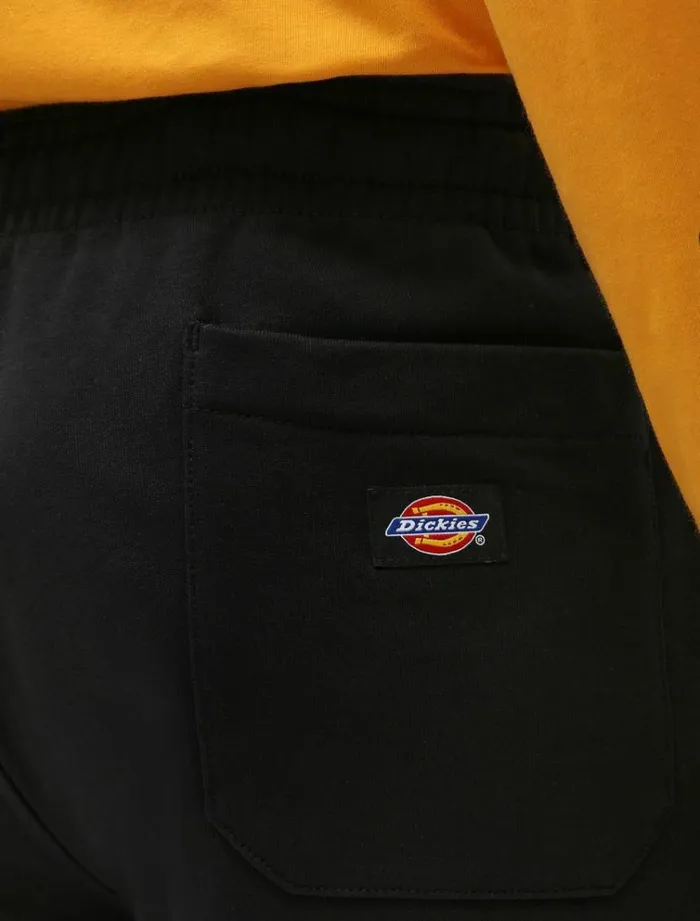 Men Shorts Dickies Champlin Short Black