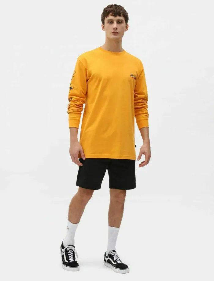 Men Shorts Dickies Champlin Short Black