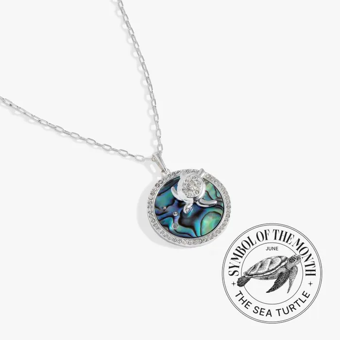 Necklaces Women Alex And Ani Sea Turtle And Abalone Adjustable Necklace Silver Necklaces Women Alex And Ani Sea Turtle And Abalone Adjustable Necklace Silver