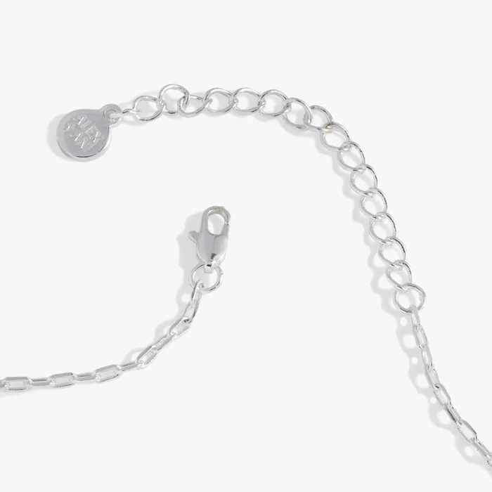 Necklaces Women Alex And Ani Sea Turtle And Abalone Adjustable Necklace Silver