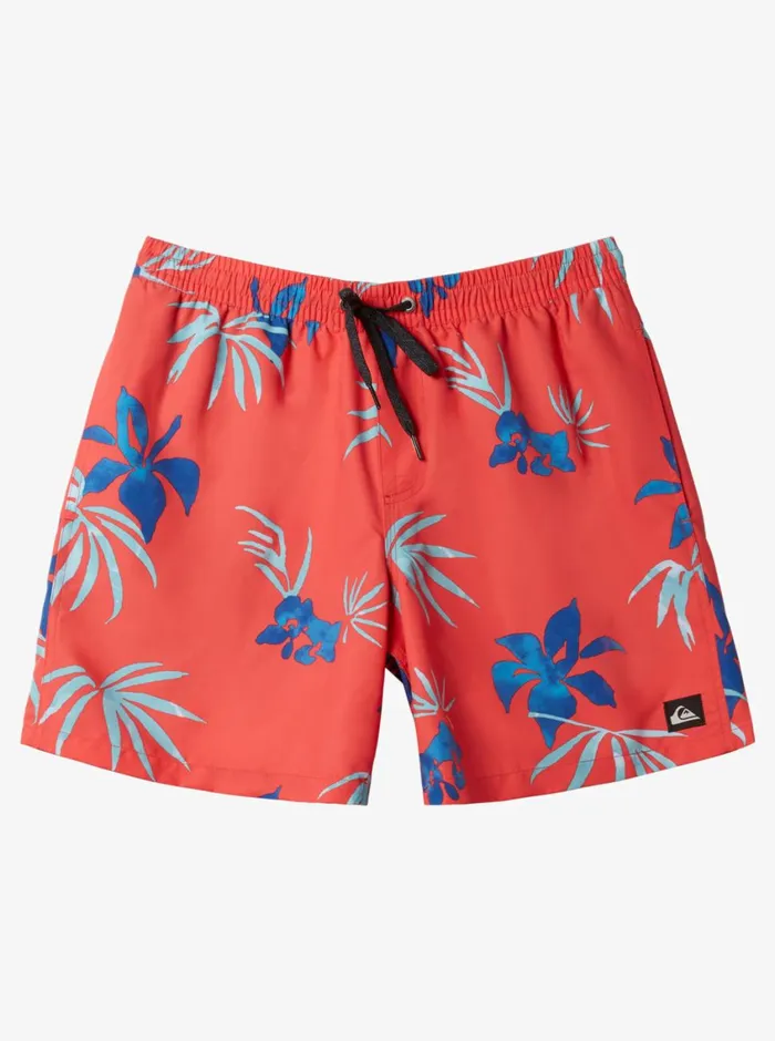 Quiksilver 816 Everyday Mix Volley 14034 Elastic Waist Shorts Cayenne Boys Boardshorts