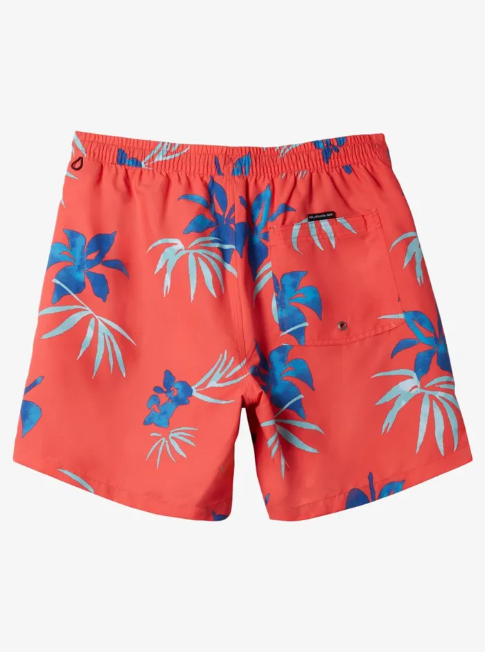 Quiksilver 816 Everyday Mix Volley 14034 Elastic Waist Shorts Cayenne Boys Boardshorts Quiksilver 816 Everyday Mix Volley 14034 Elastic Waist Shorts Cayenne Boys Boardshorts