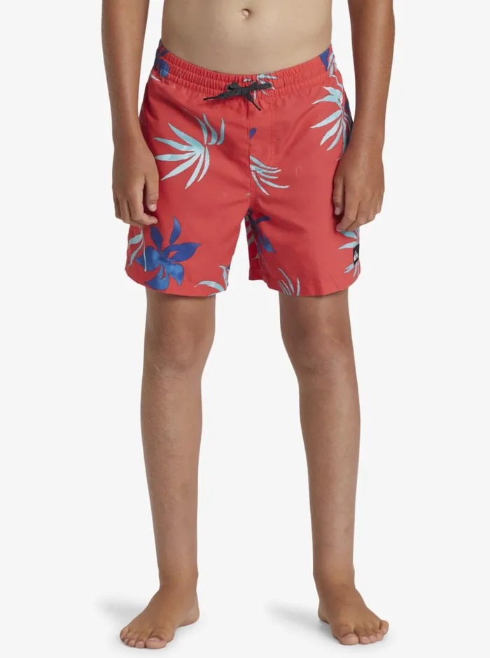Quiksilver 816 Everyday Mix Volley 14034 Elastic Waist Shorts Cayenne Boys Boardshorts Quiksilver 816 Everyday Mix Volley 14034 Elastic Waist Shorts Cayenne Boys Boardshorts