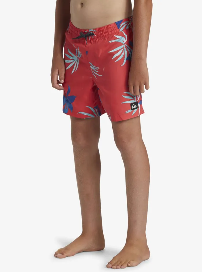 Quiksilver 816 Everyday Mix Volley 14034 Elastic Waist Shorts Cayenne Boys Boardshorts Quiksilver 816 Everyday Mix Volley 14034 Elastic Waist Shorts Cayenne Boys Boardshorts
