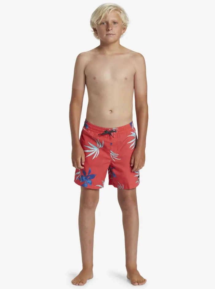 Quiksilver 816 Everyday Mix Volley 14034 Elastic Waist Shorts Cayenne Boys Boardshorts Quiksilver 816 Everyday Mix Volley 14034 Elastic Waist Shorts Cayenne Boys Boardshorts