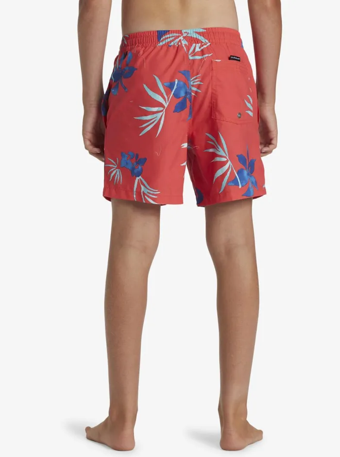 Quiksilver 816 Everyday Mix Volley 14034 Elastic Waist Shorts Cayenne Boys Boardshorts Quiksilver 816 Everyday Mix Volley 14034 Elastic Waist Shorts Cayenne Boys Boardshorts