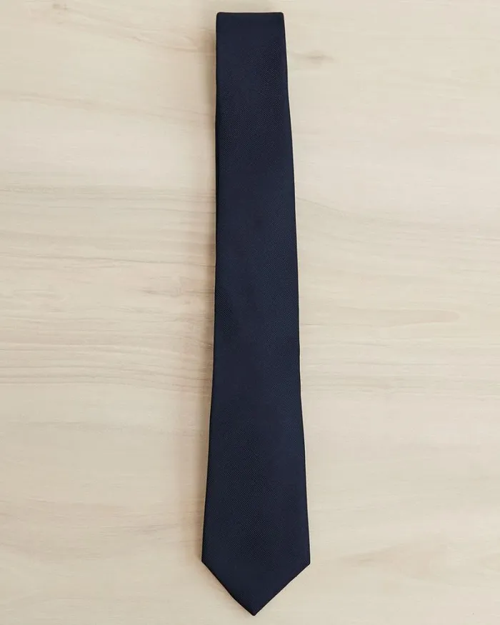 RWandCO Ties and Bow Ties Regular Silk Solid Tie Navy Blue 8211 Men