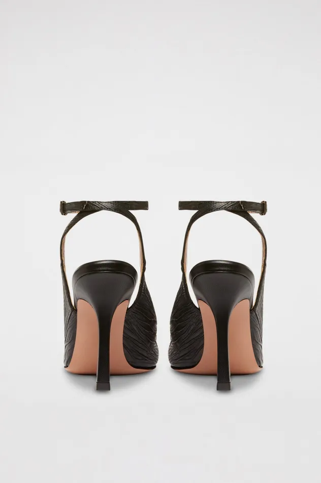 Scanlan Theodore PUMP 95 BLACK Women Shoes