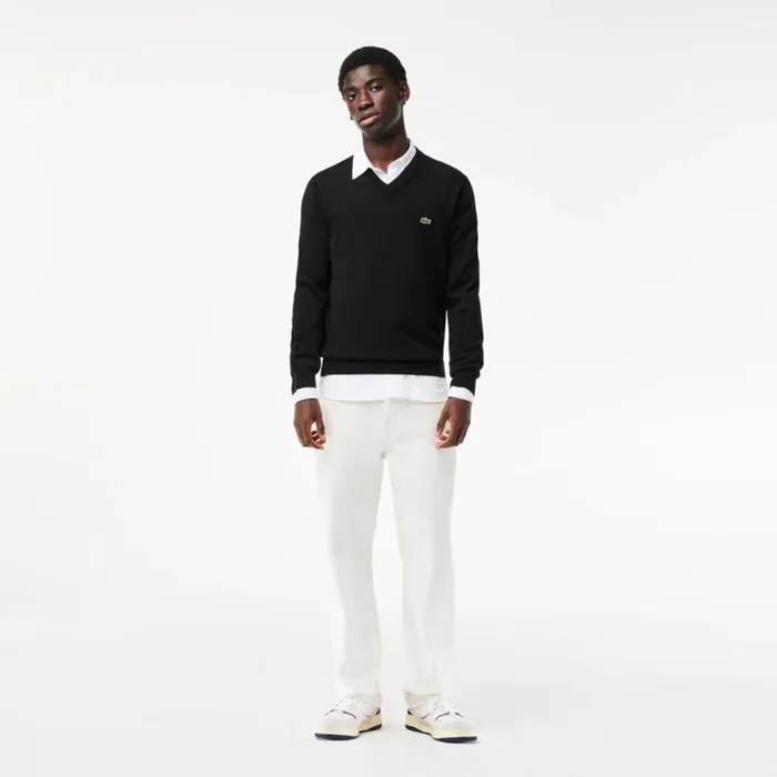 Sweaters and Sweatshirts Men Lacoste Men039s VNeck Organic Cotton Sweater Black 031