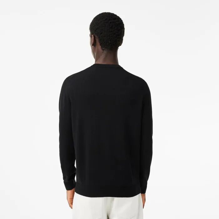Sweaters and Sweatshirts Men Lacoste Men039s VNeck Organic Cotton Sweater Black 031