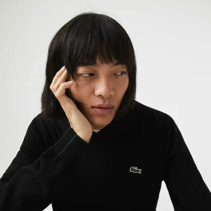 Sweaters and Sweatshirts Men Lacoste Men039s VNeck Organic Cotton Sweater Black 031